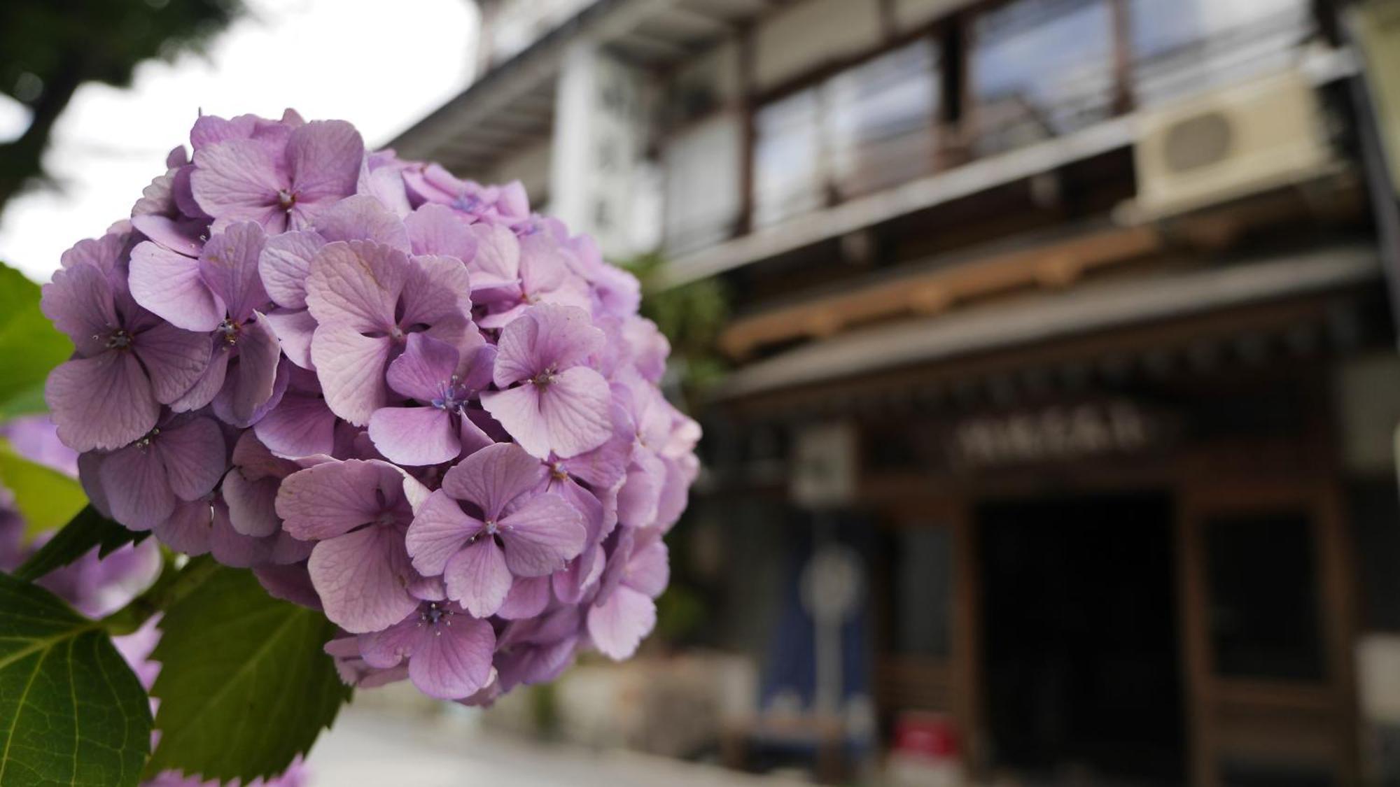 Shibu Onsen Koishiya Ryokan Яманоуті Екстер'єр фото